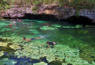 Tudo sobre o Cenote Azul em Tulum