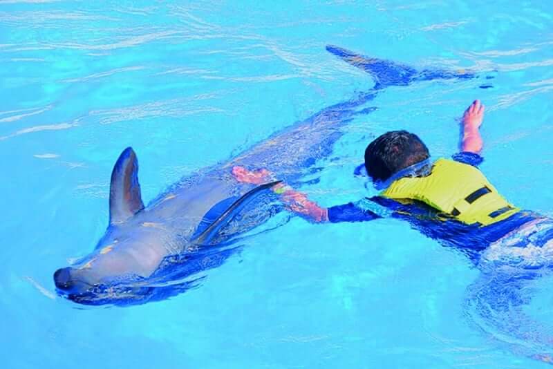 Atração Dolphinaris: Ventura Park em Cancún