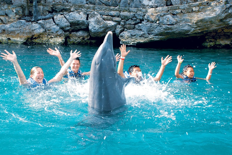 Parque Xcaret para nadar com golfinhos em Cancún
