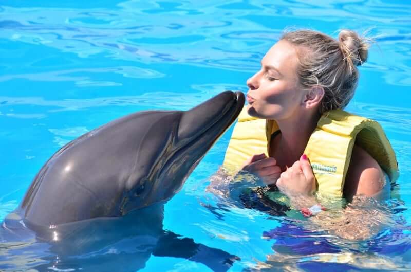 Turista dando beijo em golfinho