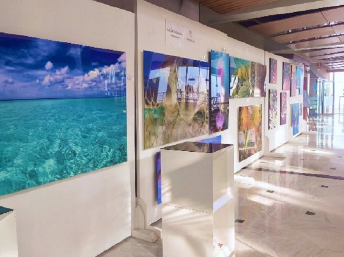 Paintings at the Galería Balance Cancún