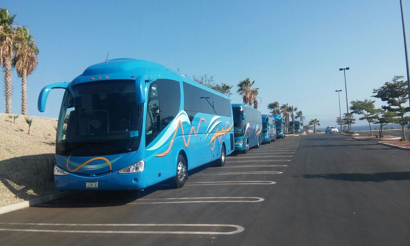 Autobuses para moverse por Los Cabos