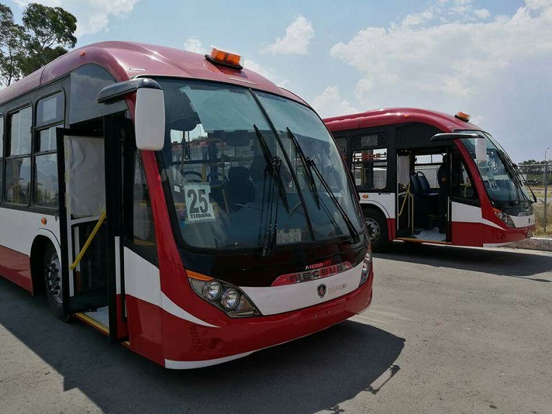 Autobuses para moverte por Tijuana
