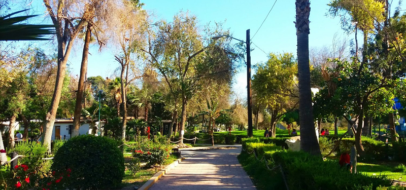 Paseo por el Parque Morelos en Tijuana
