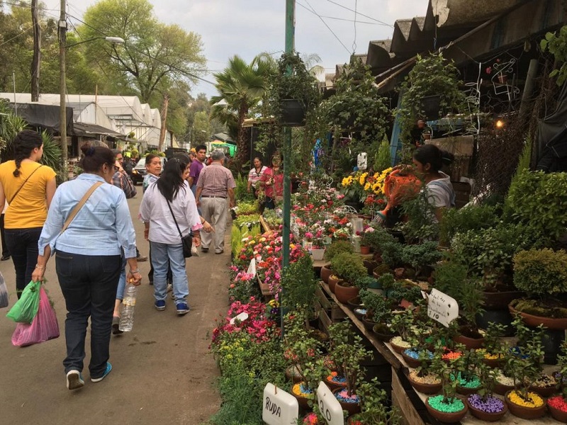Mercado en Xochimilco