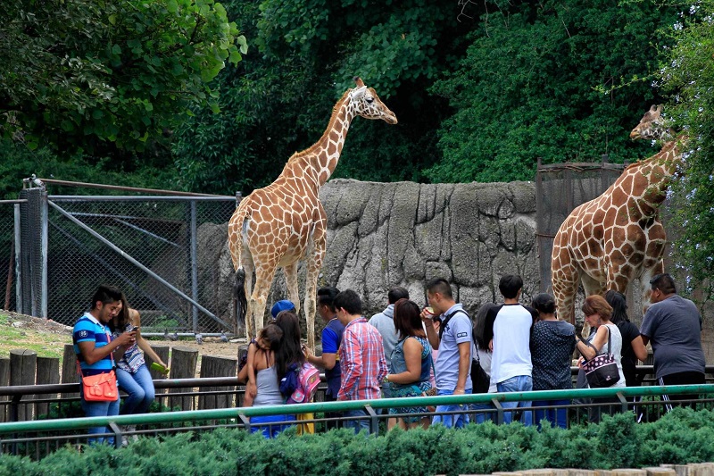 Zoológico Chapultepec na Cidade do México