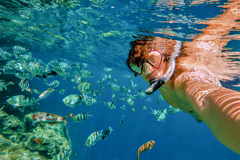 Mergulho em Los Cabos
