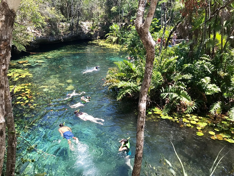 Tudo sobre o Cenote Azul em Tulum 