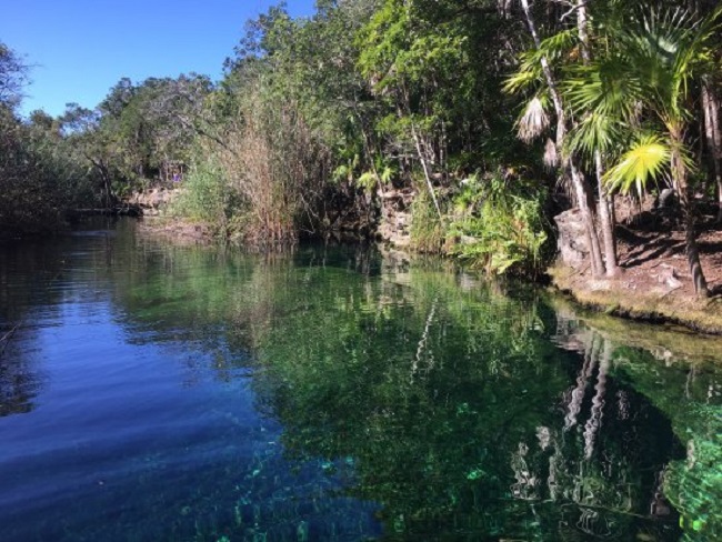 Dicas do Cenote Escondido em Tulum