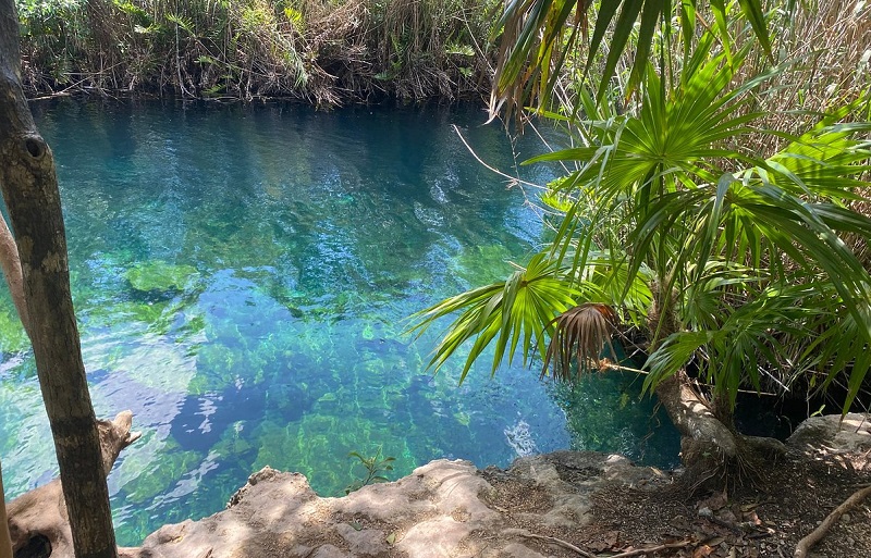 Cenote Escondido em Tulum 