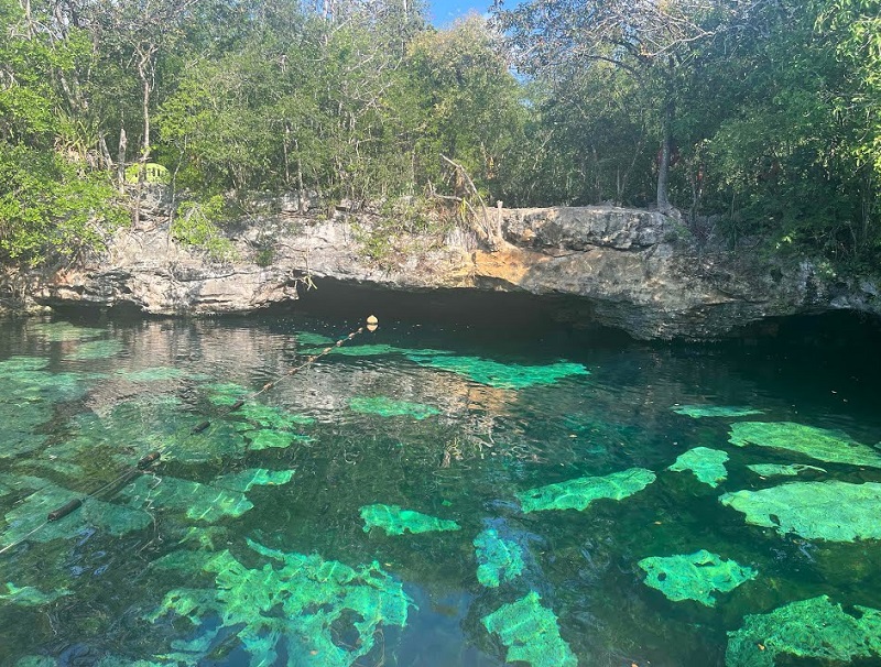 Dicas sobre o Cenote Azul em Tulum