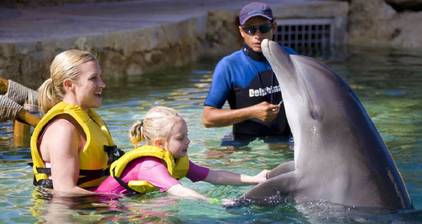 Criança brincando com golfinho em viagem por Cancún